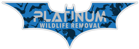 Critter Animal Removal LLC
